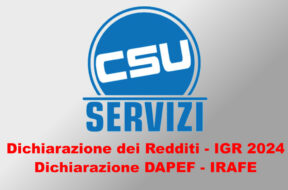 banner dichiarazione