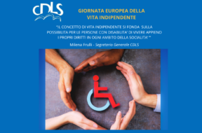 articolo disabilità (Sito web)