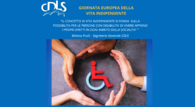 articolo disabilità (Sito web)
