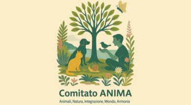 anima