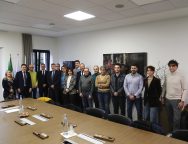 firma servizi